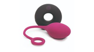 Mantric Rechargeable Remote Control Egg Vibrator, a best vibrator