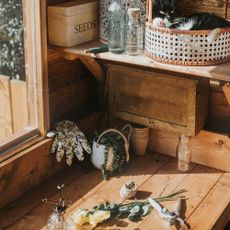 A cute, young, black and white domestic cat lies in a rattan basket on a shelf in a stylish greenhouse. She is relaxing in the warmth as sunlight streams through the window, illuminating horticultural equipment.