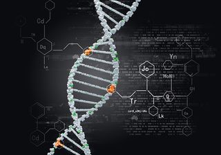 A photo of DNA.