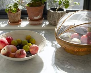 fruit bowls on kitchen counter with pot plants in window