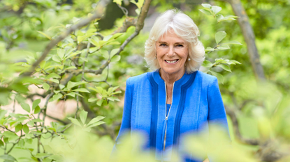 Queen Consort Camilla's official portrait