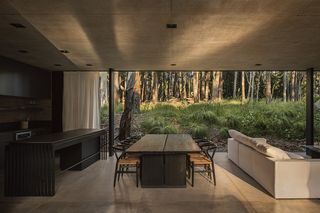 Argentinian retreat dinning area looking out to forest