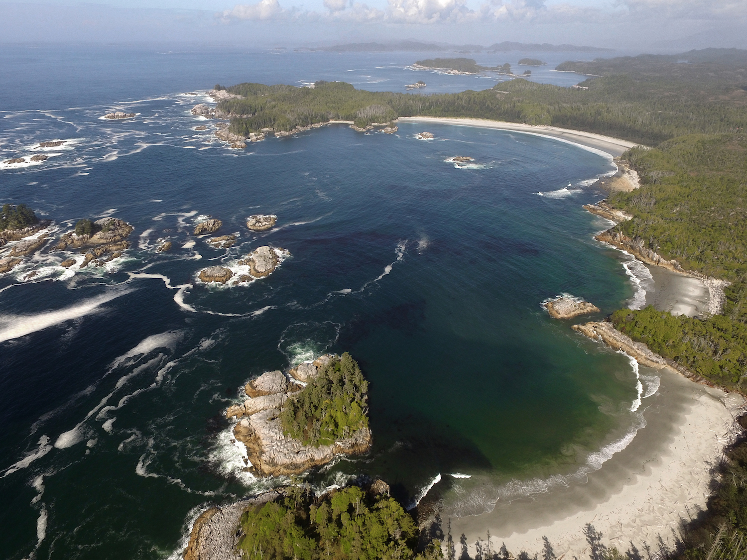 oldest-human-footprints-in-north-america-discovered-here-s-what-they