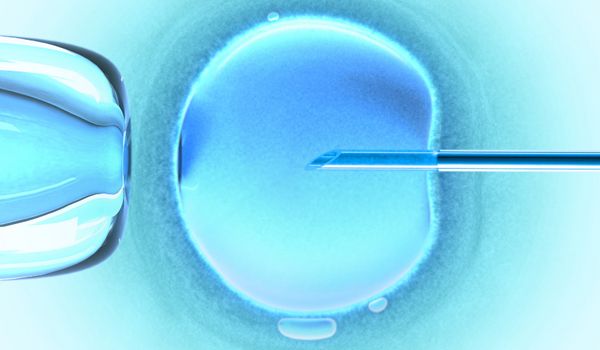 ivf-egg-fertilize-101005-02