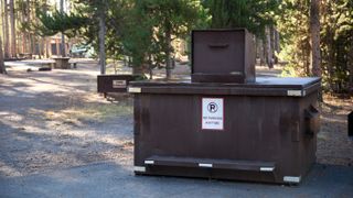 Bear-proof dumpsters at picnic site