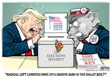 Political Cartoon