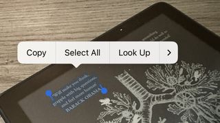 How to copy text from an image on iPhone