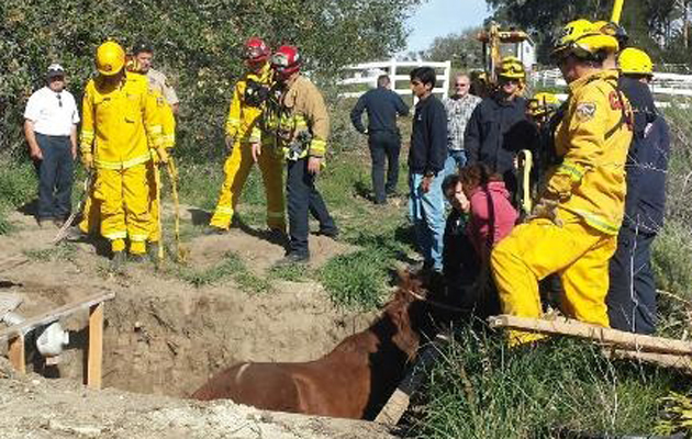 sink hole 3