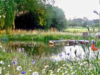 large garden ideas: natural wildlife pond
