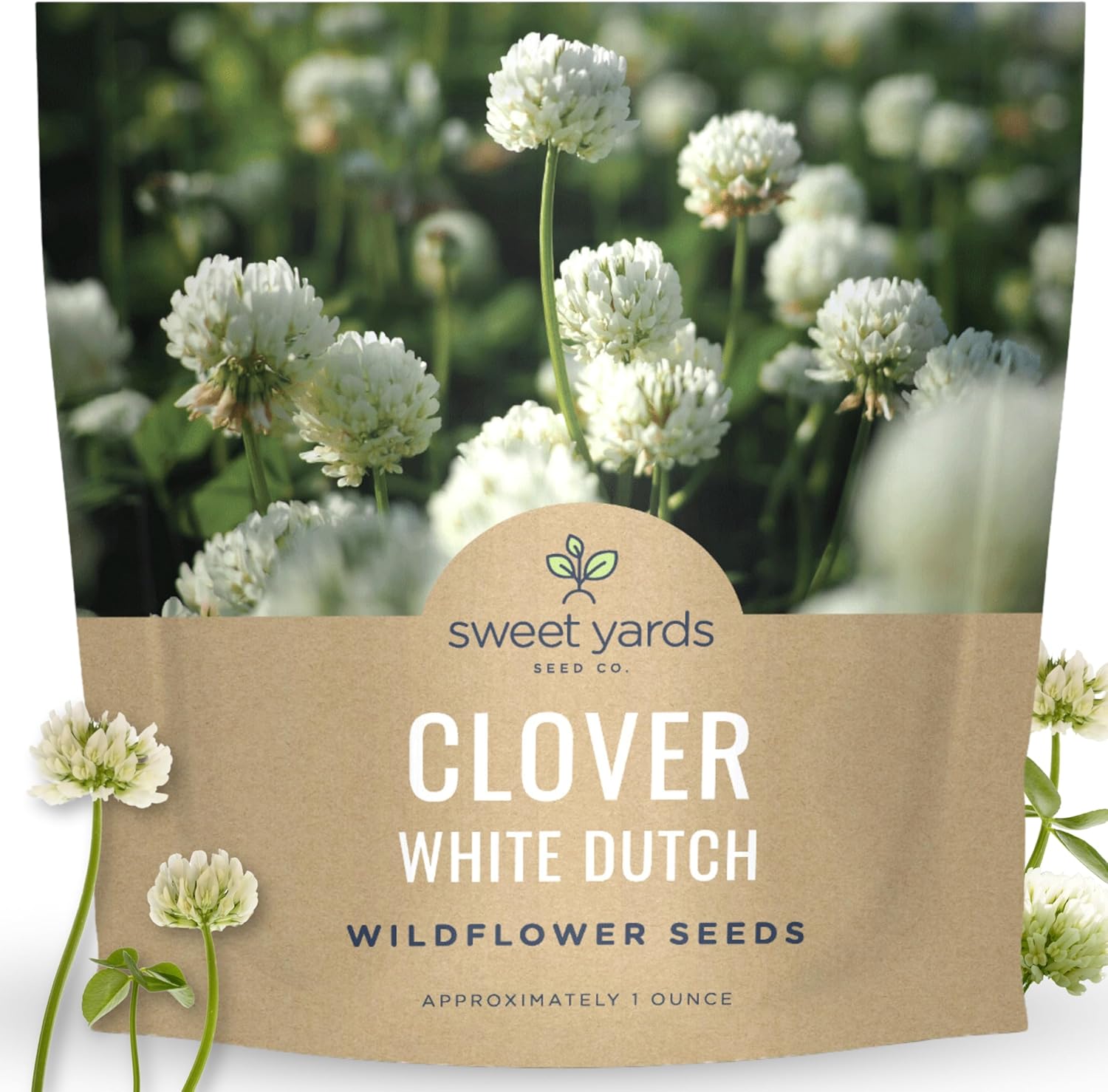 White Dutch Clover - Large 1 Ounce Packet - 40,000 Flower Seeds for Planting - Trifolium Repens