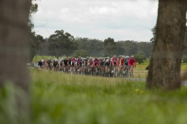 The peloton remained together for the majority of the stage despite an early crash just after the start which brought down almost half the field.