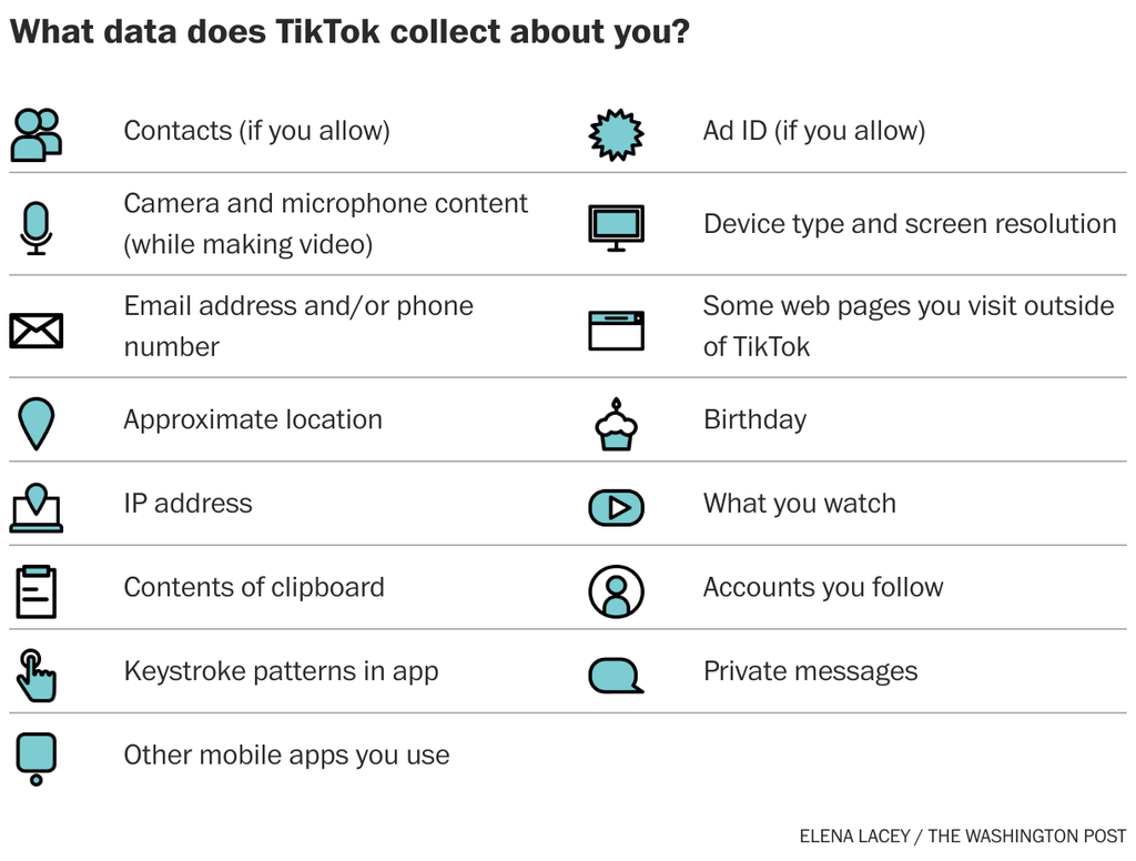 TikTok ban will the app be banned in the US and how would it work