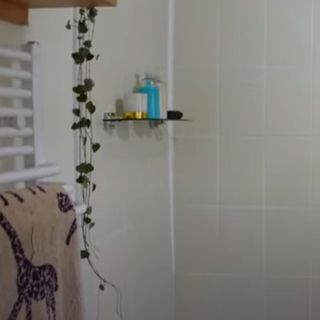 cream wall tiles with plant and shelf in bathroom