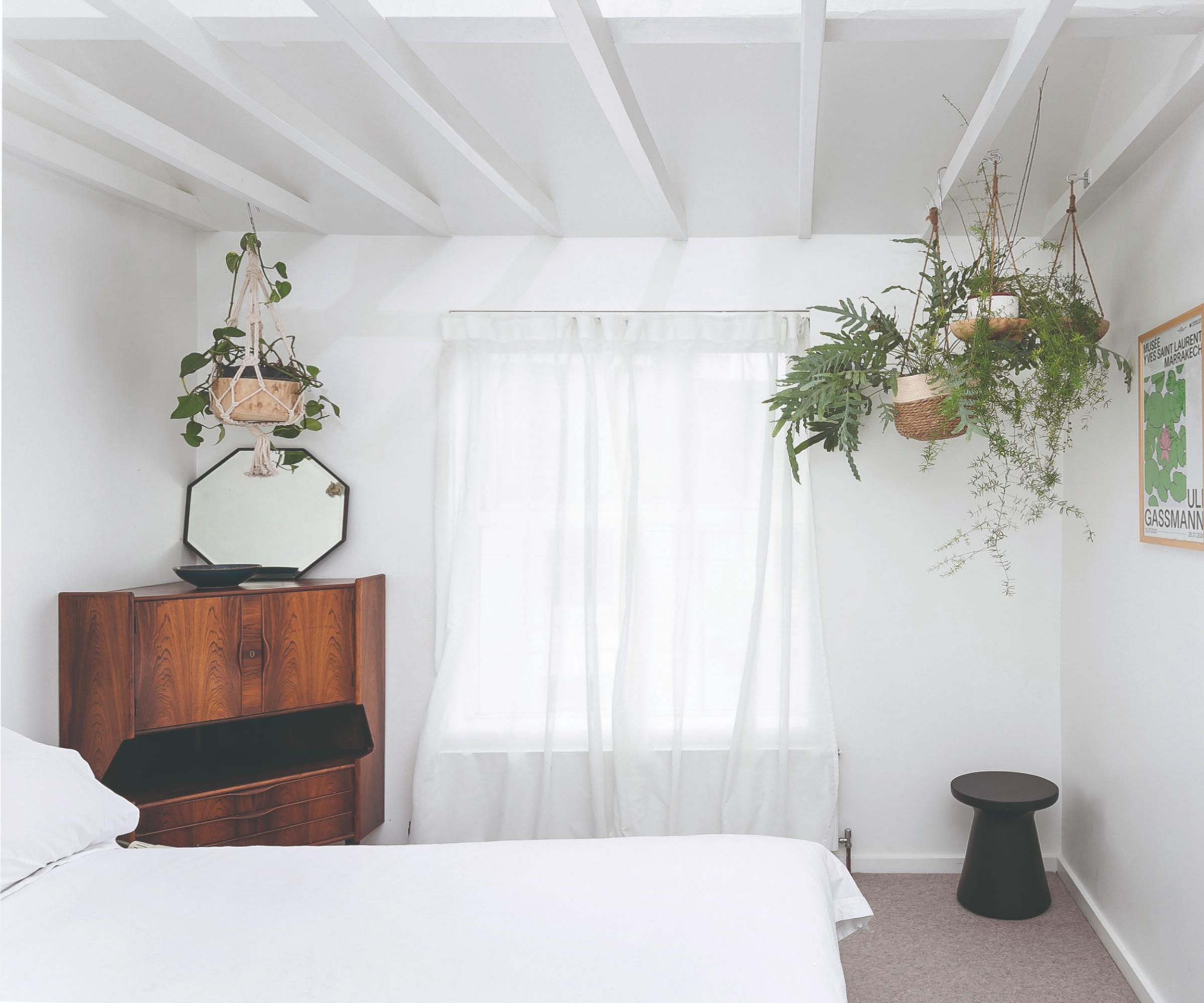 Bedroom with white walls, wooden cabinet, and hanging plant in the corner