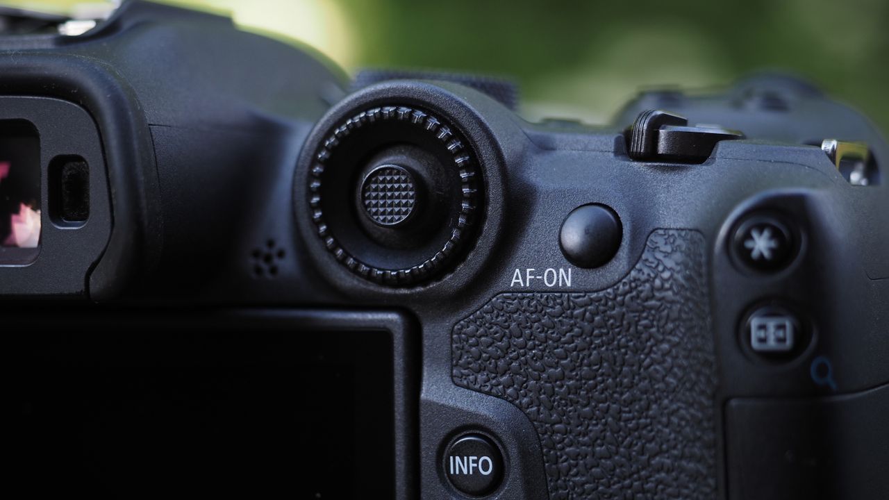 Canon EOS R7 sample