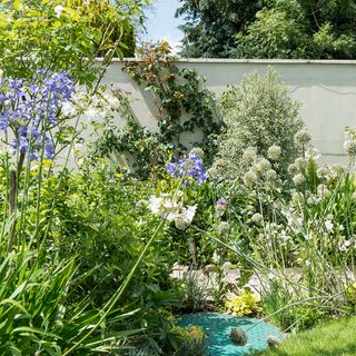 garden area with white wall and plants