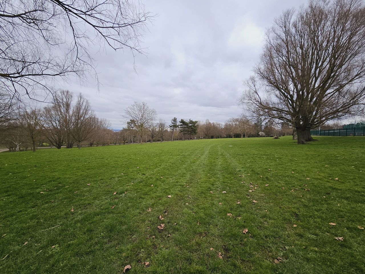Samsung galaxy s23 ultra sample images