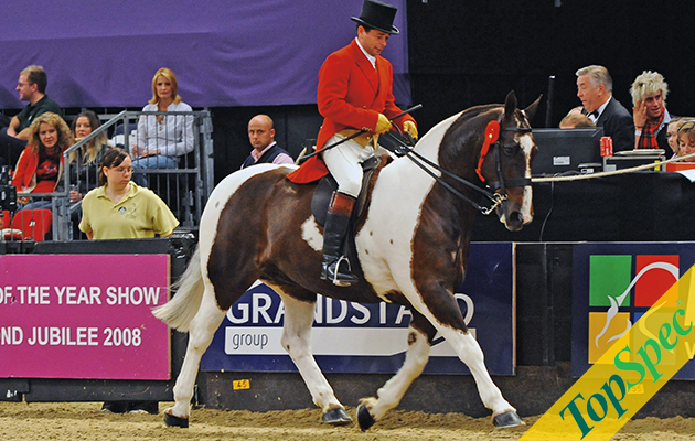 11.10.08 . Cob Class . Robert Walker on So Smart II .