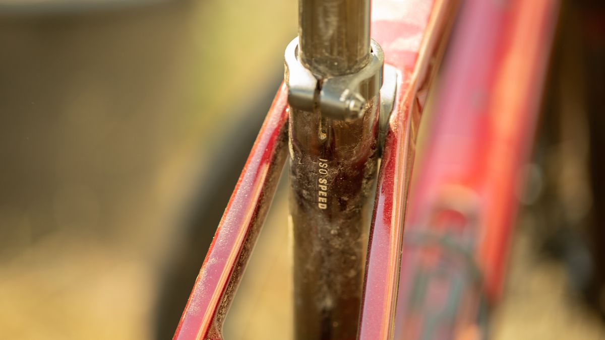 Trek Checkpoint SL 6 eTap rear isospeed