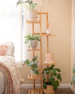 Vertical open shelf unit with display of houseplants