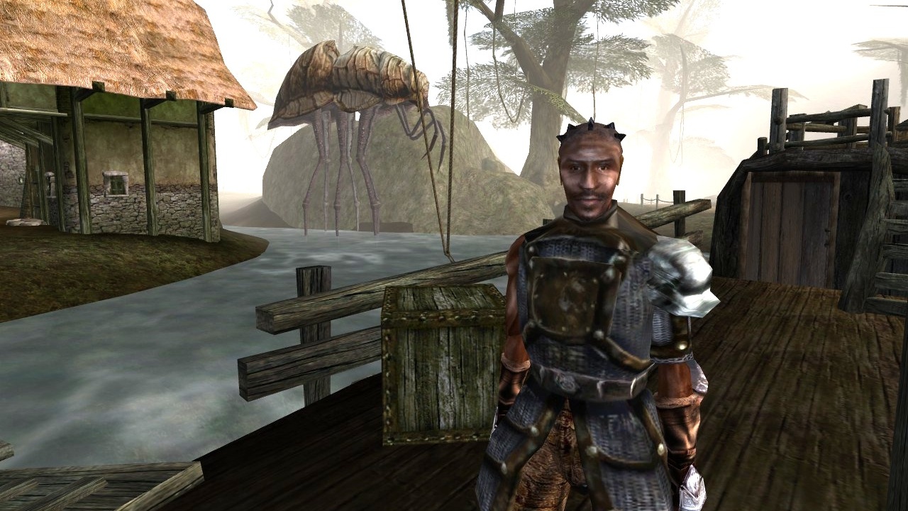 Getting off the boat at the start of Morrowind.