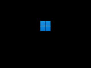 Windows 11 boot logo