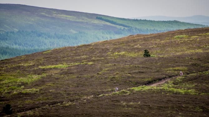 Ballyhoura scenery