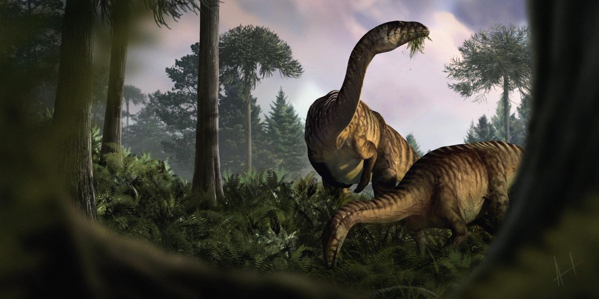 Dinosaur puke and poop help reveal how they took over the world