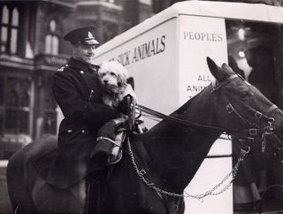 Olga and PDSA Dickin Medal-winning dog Ricky.