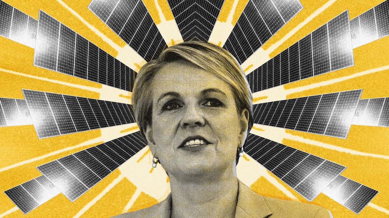 Photo collage of Australia’s Environment Minister Tanya Plibersek with a halo of solar panels around her.