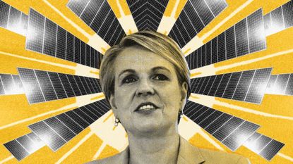 Photo collage of Australia’s Environment Minister Tanya Plibersek with a halo of solar panels around her.