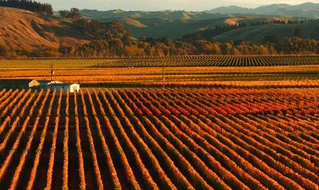 Trinity Gimblett Gravels