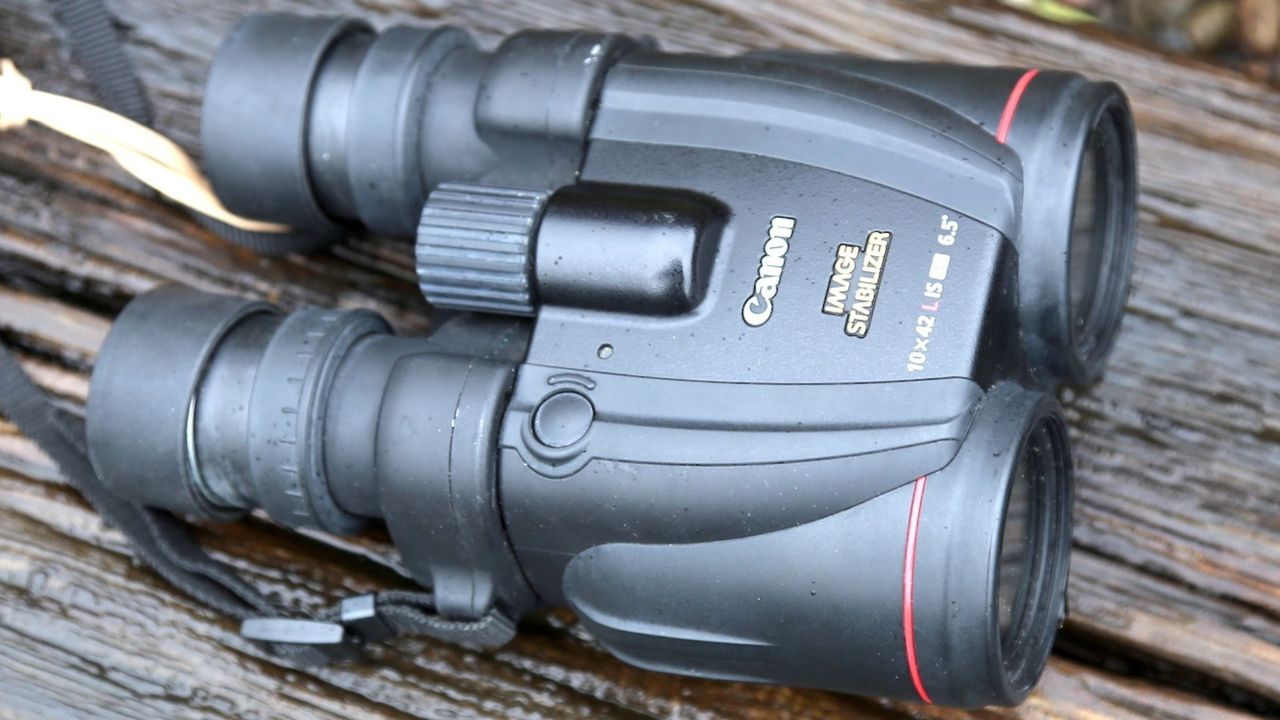 Canon 10x42L IS WP binoculars review