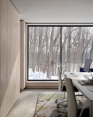 Reigo & Bauer timber clad office interior with large window towards trees