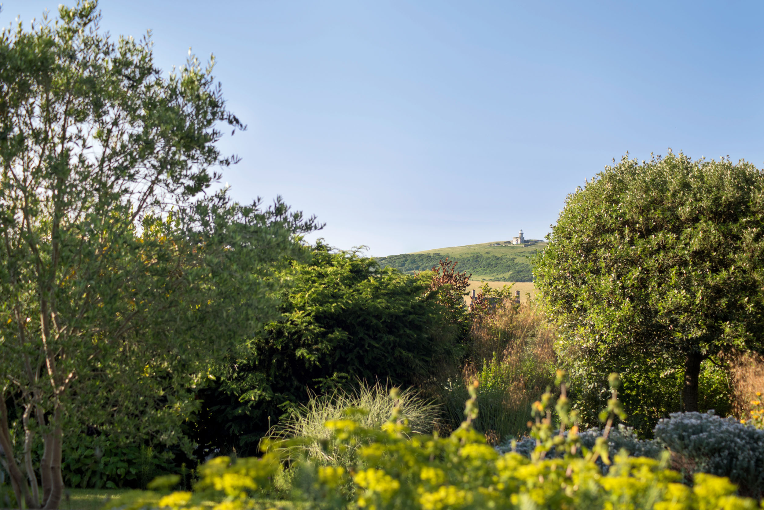 The garden of Underhill House in East Sussex