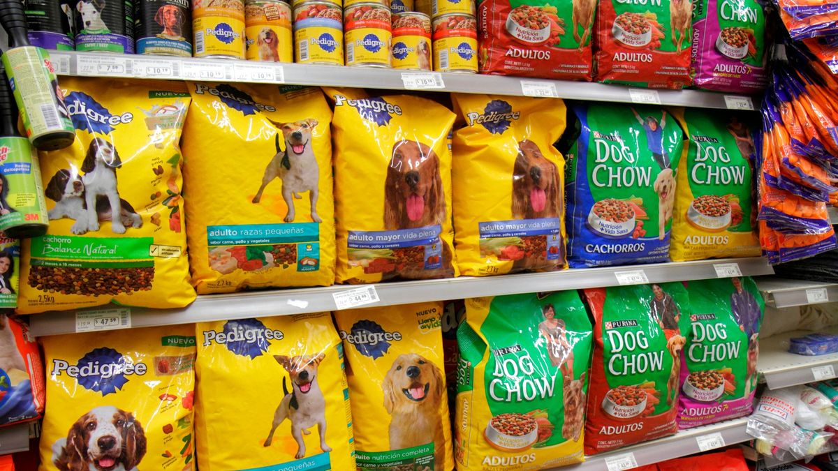 Dog food chewy deals. Supermarket shelf stacked with dog food