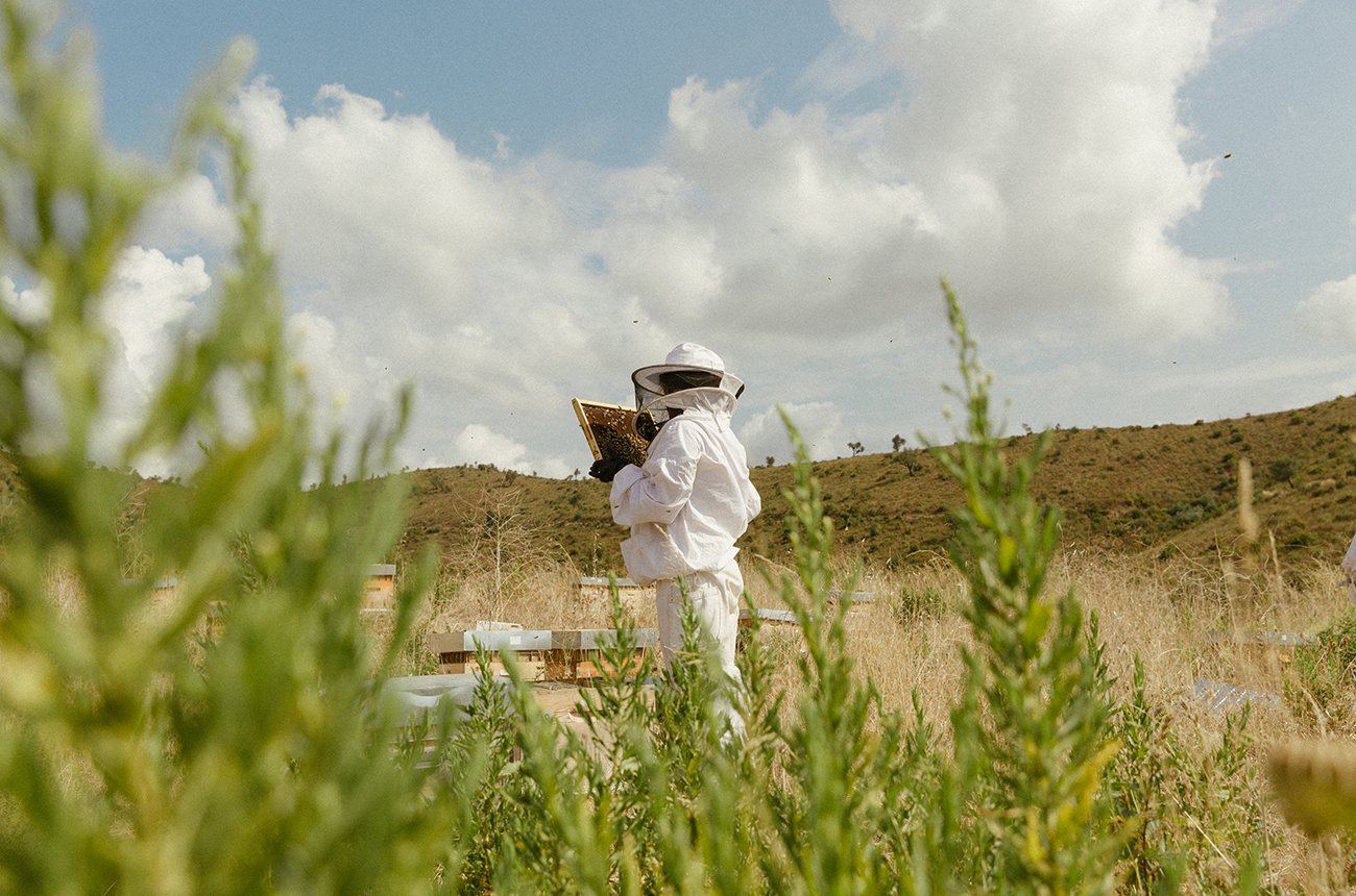 Ch&amp;acirc;teau Galoupet