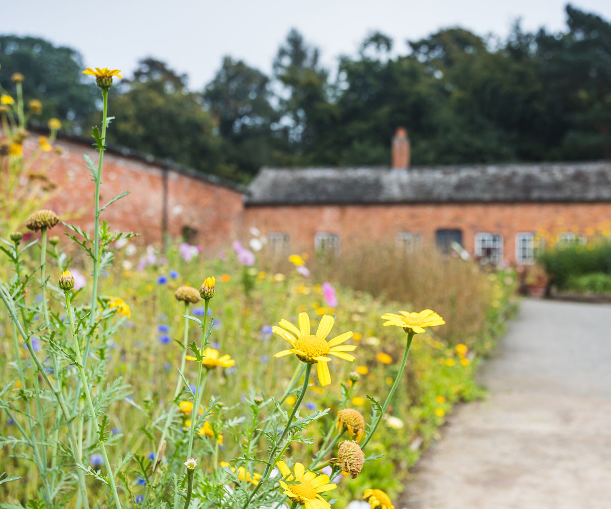 Garden wall height regulations UK: Why your rear wall can be larger ...