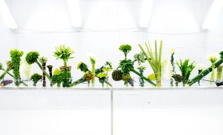 Arrangement of flowers and plants using binding, joining and bending techniques