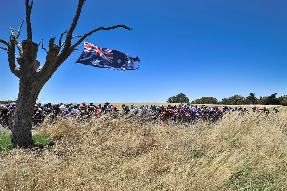 The peloton moves past an Australian flag hung from a tree during the first stage of the Tour Down Under