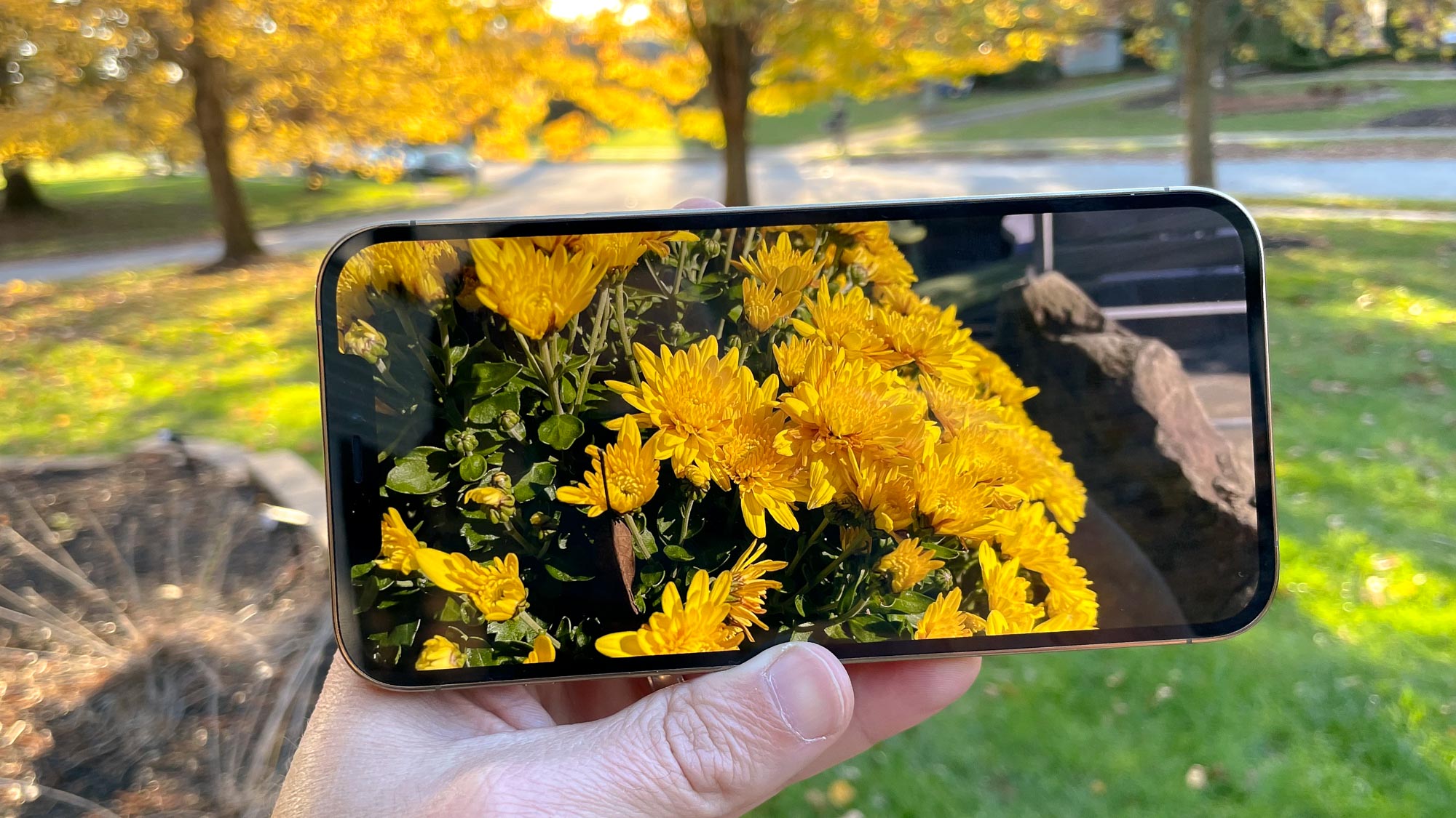 iPhone 12 Pro Max review display