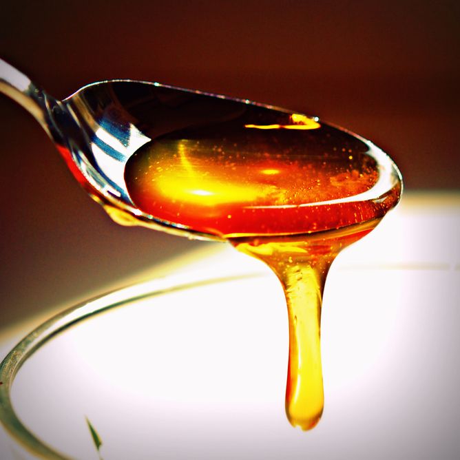 honey, antibiotics, superbug remedy