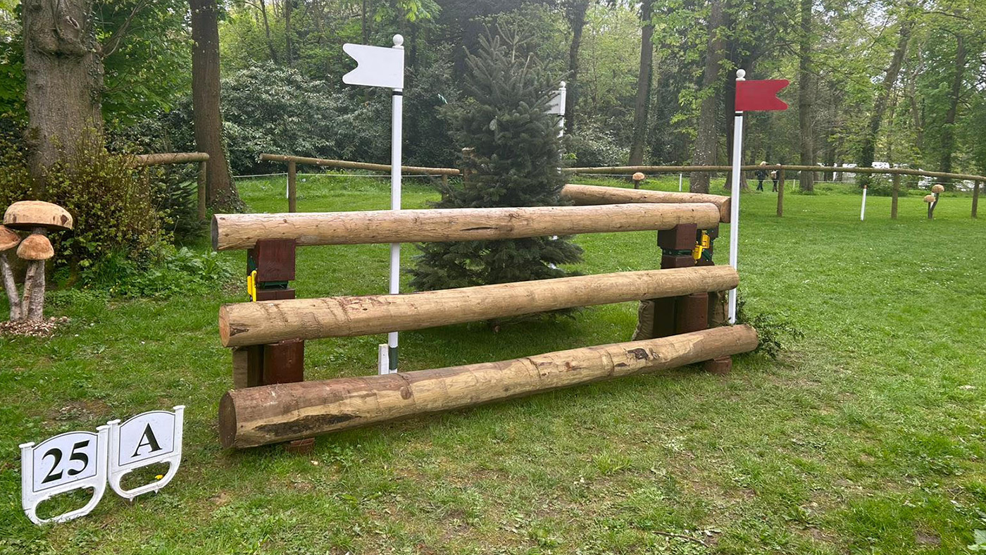 25aa