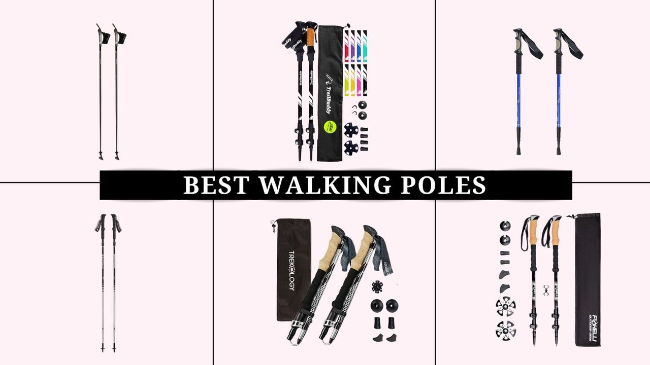 grid image with pink background of the best walking poles including TrailBuddy, Black Diamond, and more