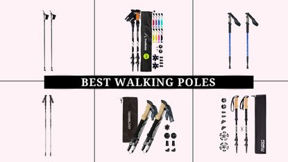 grid image with pink background of the best walking poles including TrailBuddy, Black Diamond, and more