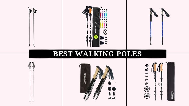 grid image with pink background of the best walking poles including TrailBuddy, Black Diamond, and more