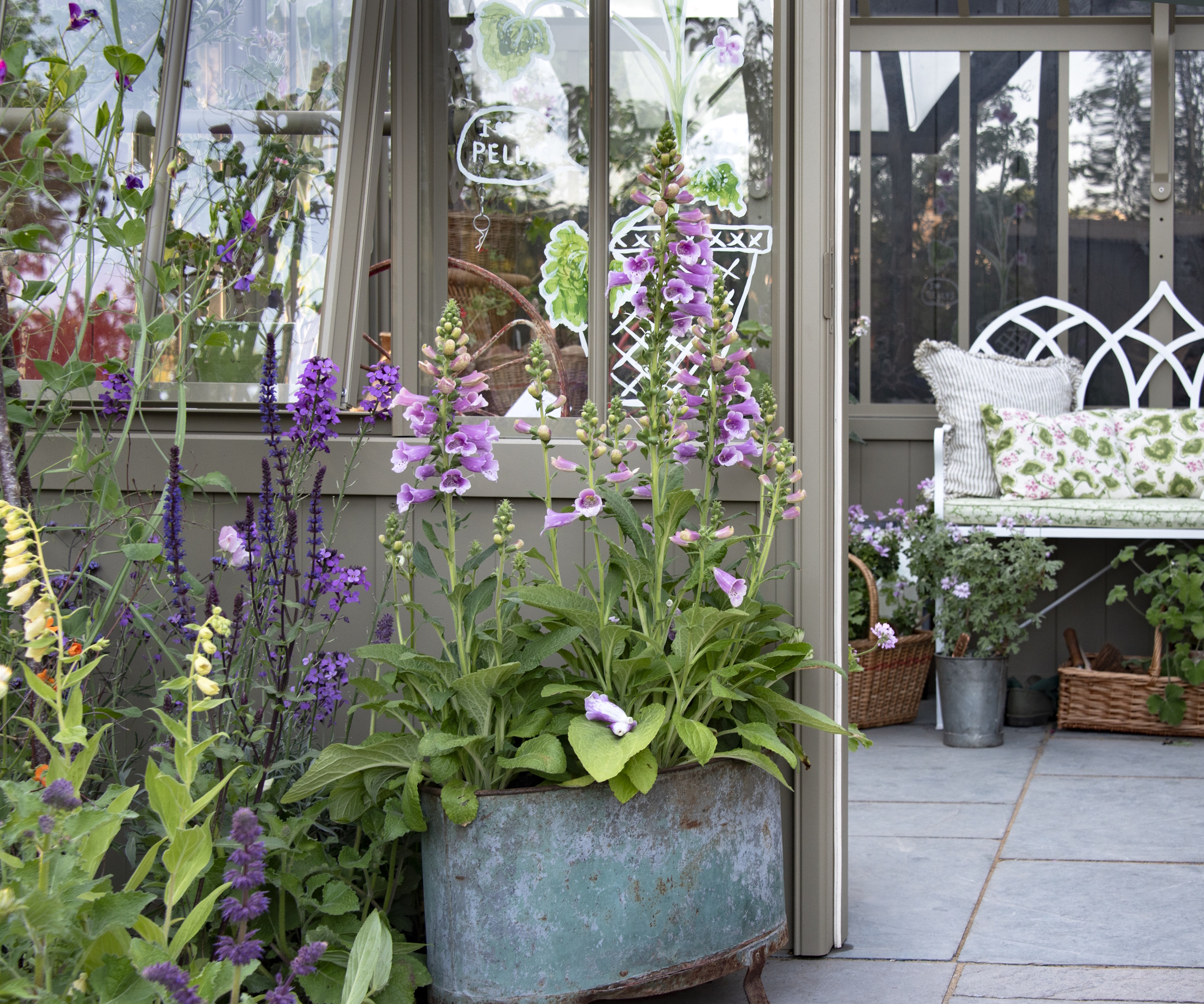 Foxgloves in vintage copper container outside a summer house