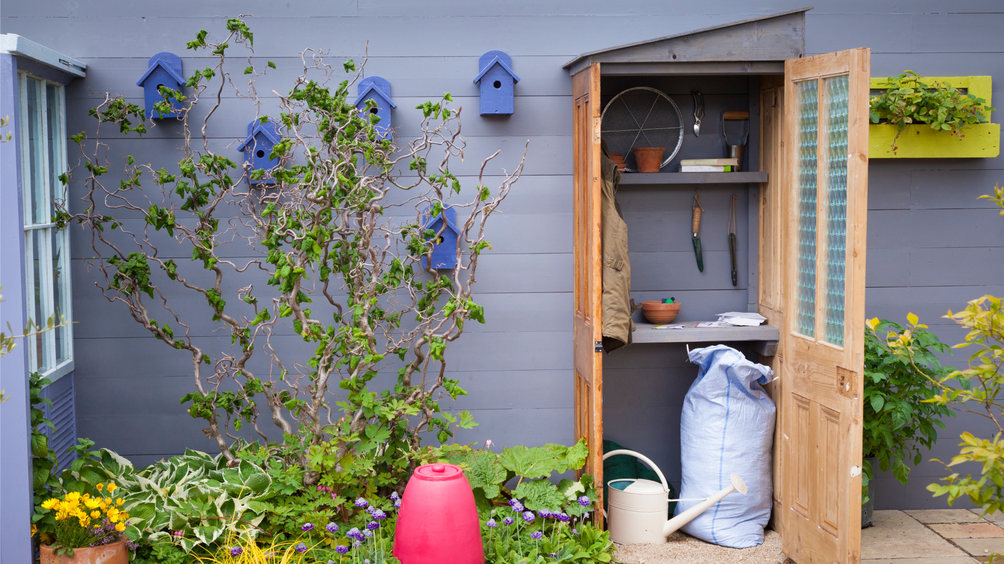 Mini shed on patio