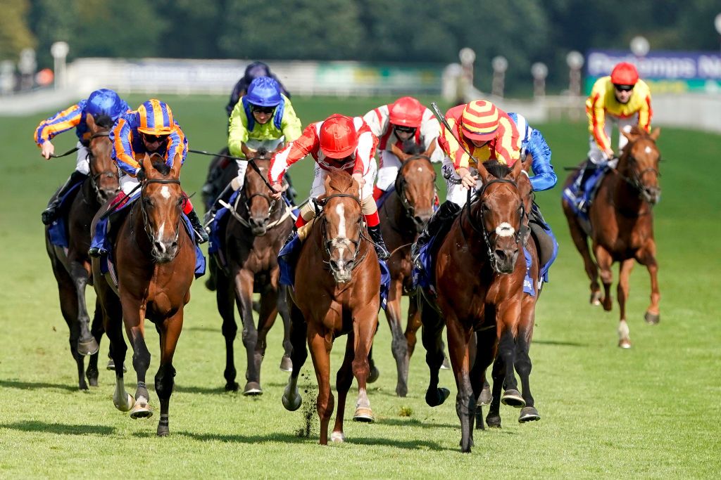 “Come back on St Leger Day”: Should you buy in September?
