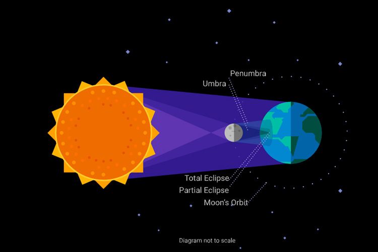 how to see the eclipse with your phone